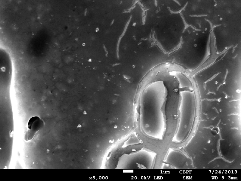 Micrographic detail of broken inclusions and cracks created from them.