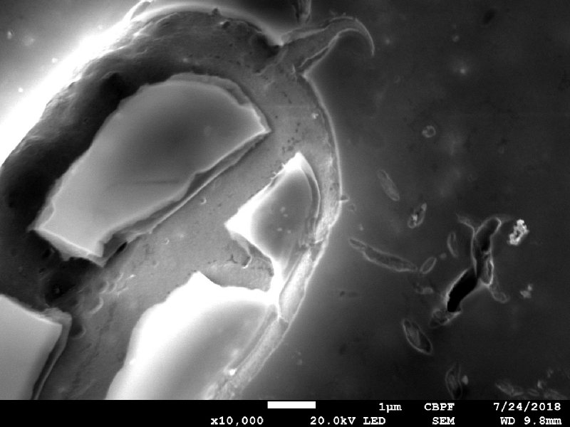 Micrographic detail of broken inclusions and cracks created from them.
