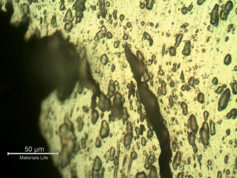 Micrograpic detail of the secondary ductile cracks.
