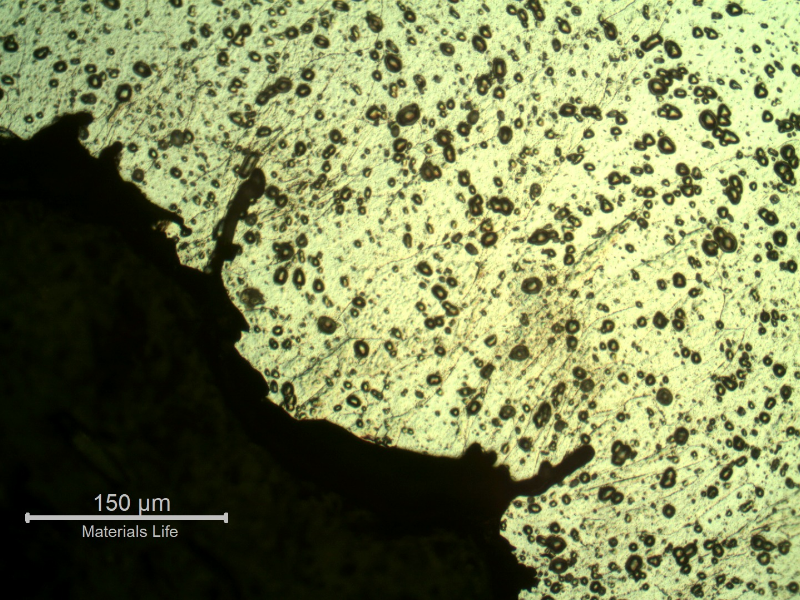 Micrography of the plate at opposite face to the projectile impact (where the bullet exited), showing ductile microcracks.