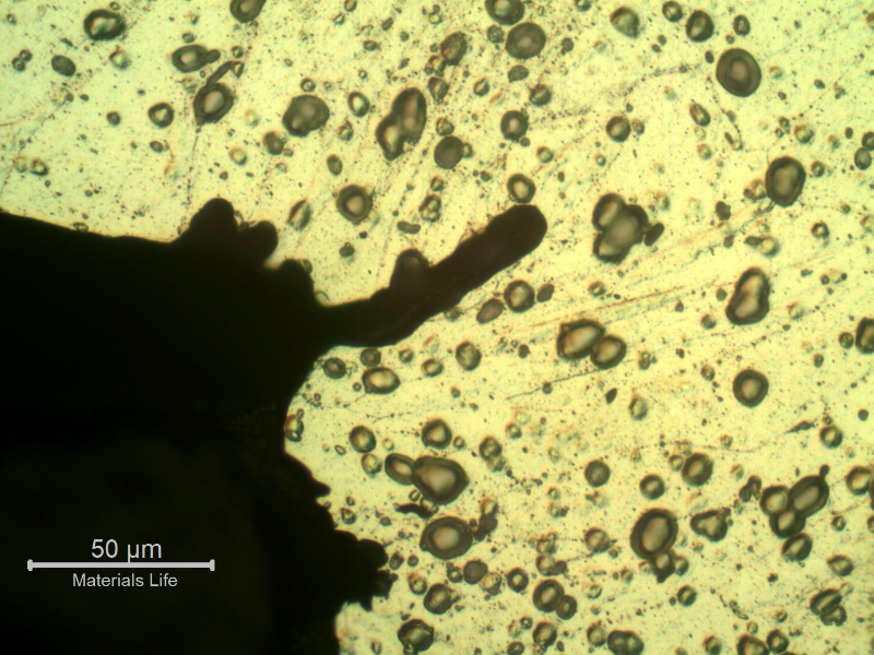 Micrographic detail of ductile microcracks.
