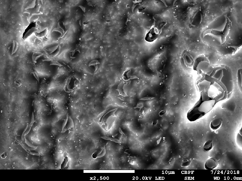 Detail of microcracks very close to the sheared hole created by the projectile.