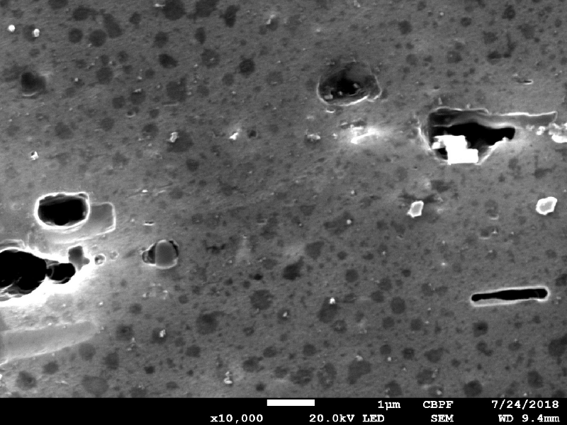 Micrographic detail, by scanning electron microscopy, of the precipitation hardened granular structure.  The stains are preferential etch of second particles.