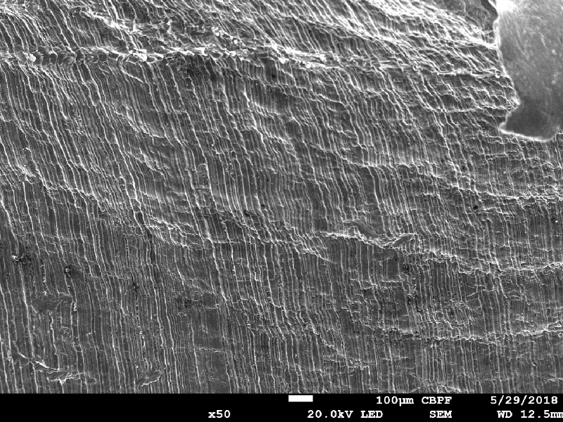 Detail of the plate surface showing striation as the finishing, deformed by the projectile effect in shearing the thickness.