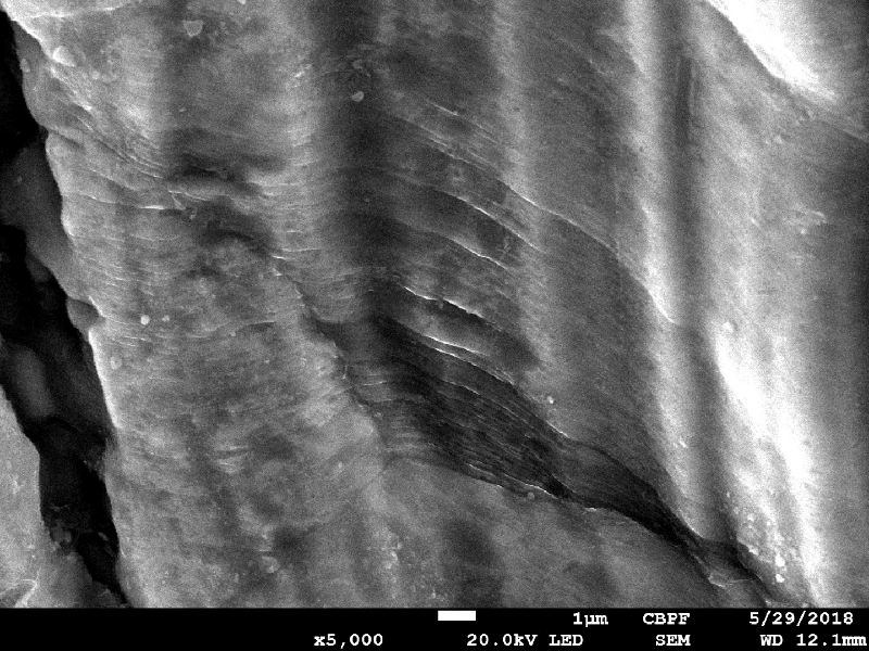 High magnification detail of the plate surface showing the deformed striation.