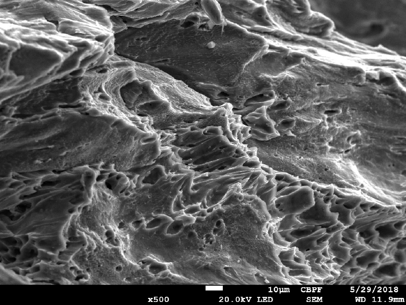 The fracture created by the projectile impact is fully ductile. The material presented a sheared surface with elongated dimples.