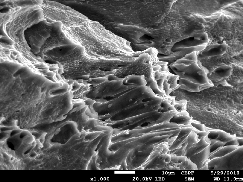 The fracture created by the projectile impact is fully ductile. The material presented a sheared surface with elongated dimples.