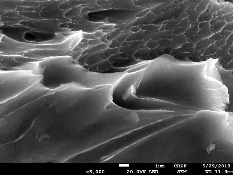 The fracture created by the projectile impact is fully ductile. The material presented a sheared surface with elongated dimples.