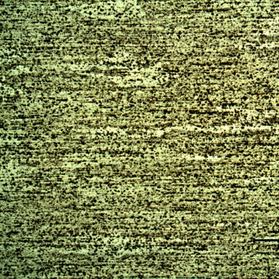 Micrography of the plate in a section, in the middle of the thickness. The aligned pitting is associated to the chemical etch of inclusions and second phases. The structure is granular but the grain boundaries do not appear at that magnification, originally 50x.