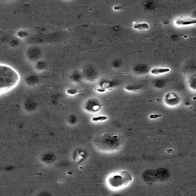 Micrography, by scanning electron microscopy. The alloy is a precipitation hardened material, and the stains at the surface are associated to differential etching in second phases and inclusions.