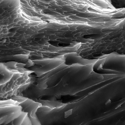 The fracture created by the projectile impact is fully ductile. The material presented a sheared surface with elongated dimples.