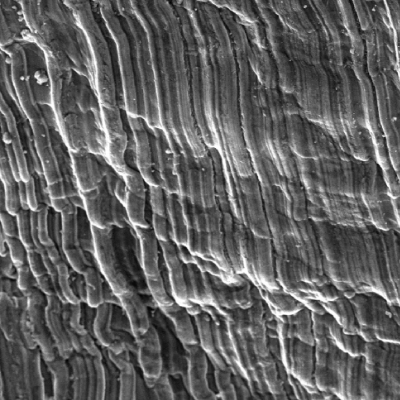 Detail of the plate surface showing striation as the finishing, deformed by the projectile effect in shearing the thickness.