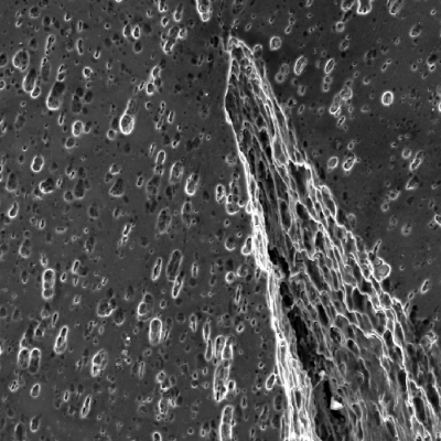 Micrography of the damaged plate close to the perforated hole, in the middle of the thickness, showing the strong plastic deformation of the structure and ductile secondary cracks.