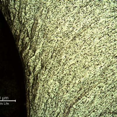 Micrography of the damaged plate close to the perforated hole, in the middle of the thickness, showing the strong plastic deformation of the structure.