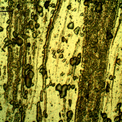 Micrographic detail of the grains highly deformed and transverse to the thickness.
