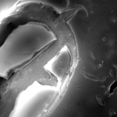 Micrographic detail of broken inclusions and cracks created from them.