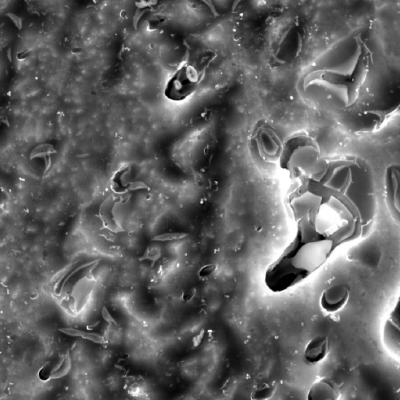 Detail of microcracks very close to the sheared hole created by the projectile.