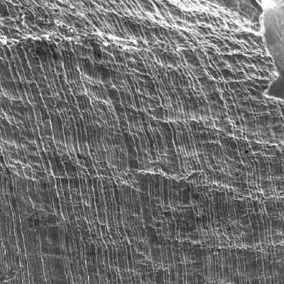 Detail of the plate surface showing striation as the finishing, deformed by the projectile effect in shearing the thickness.