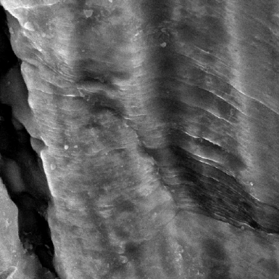 High magnification detail of the plate surface showing the deformed striation.