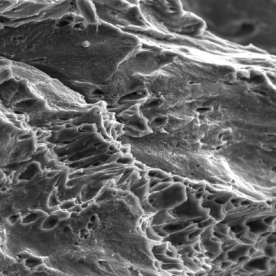 The fracture created by the projectile impact is fully ductile. The material presented a sheared surface with elongated dimples.