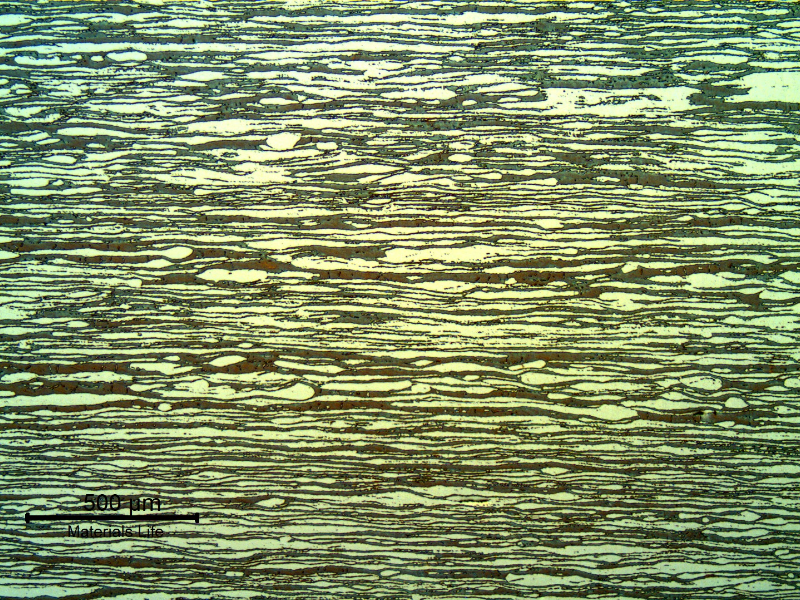 Micrography of the longitudinal section, in the center of the thickness of the pin, presenting an aligned ferritic-austeinitic structure.