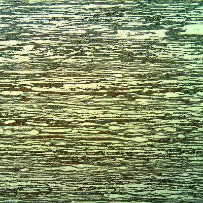 Micrography of the longitudinal section, in the center of the thickness of the pin, presenting an aligned ferritic-austeinitic structure.