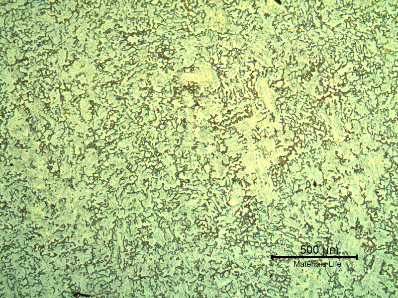 Micrography of the longitudinal section of the cast sleeve in the middle of the thickness. The microstructure is coarse, austenitic ferritic.