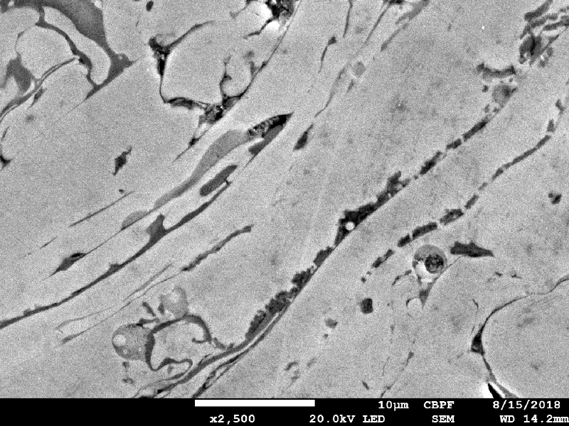Micrographic detail of the first thermal spray layer, in stainless steel with the same composition of the base metal (lean duplex).