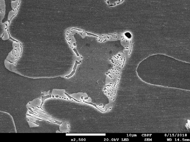 Micrographic detail, by scanning electron microscopy, of the duplex, austenitic and ferritic, structure with sigma phase.
