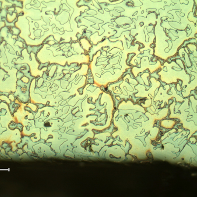 Micrography of the longitudinal section of the cast sleeve at the ID. The microstructure is duplex, austenitic and ferritic.  The etch presents different colours for the phases.  The yellow is associated to detrimental phases, like sigma, at the ferritic phase (ligh blue) and the white phase is the austenite.