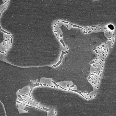 Micrographic detail, by scanning electron microscopy, of the duplex, austenitic and ferritic, structure with sigma phase.