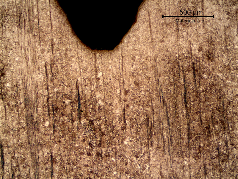 Low magnification micrography of the nut in the longitudinal section, presenting the machined internal thread and a banded microstructure.