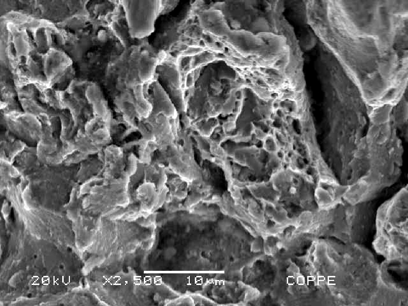 Scanning electron microscope fractographic detail of the ductile dimples.