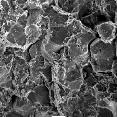Detail of the ductile dimples and the brittle intergranular micromechanisms. This evidence (a mixture of mechanisms) suggests that the embrittlement is localized in some regions of the material.