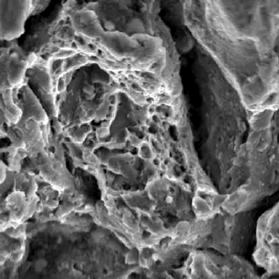 Scanning electron microscope fractographic detail of the ductile dimples.