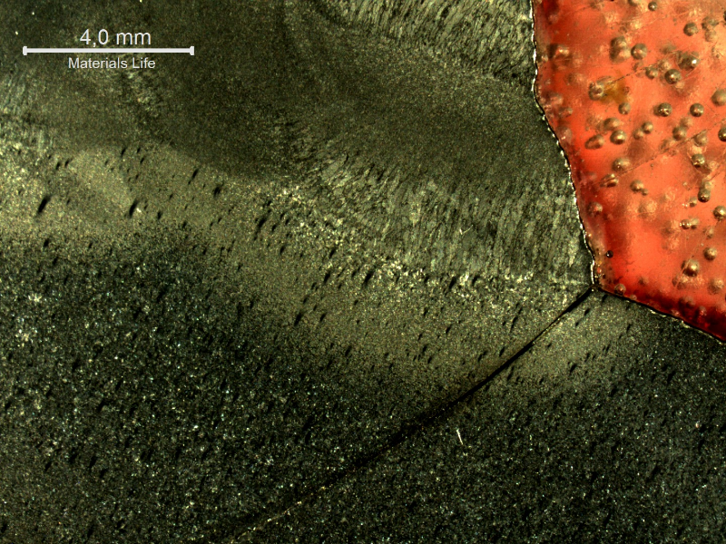 Macrography of a section tranverse to the pipe and to the weld between the 8"pipe and the 2" fitting weldolet.  The crack starts exactly at the margin of the weld, in a geometric stress concentration raiser, in a position where it growths in the pipe longitudinal direction, and propagates in a straight line, not related to any metallurgical aspect.
