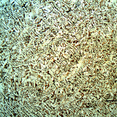 Micrography of a transverse section of the seamless pipe, presenting a ferritic-pearlitic structure.