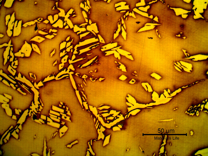 Micrography of the heat affected zone (HAZ) of the fitting.  The amount of ferrite in the HAZ is a little higher than in the pipe base metal.