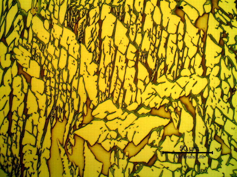 Micrographic detail of the weld metal of the pipe to the fitting. Yellow/white austenite and red/blue ferrite (delta).
