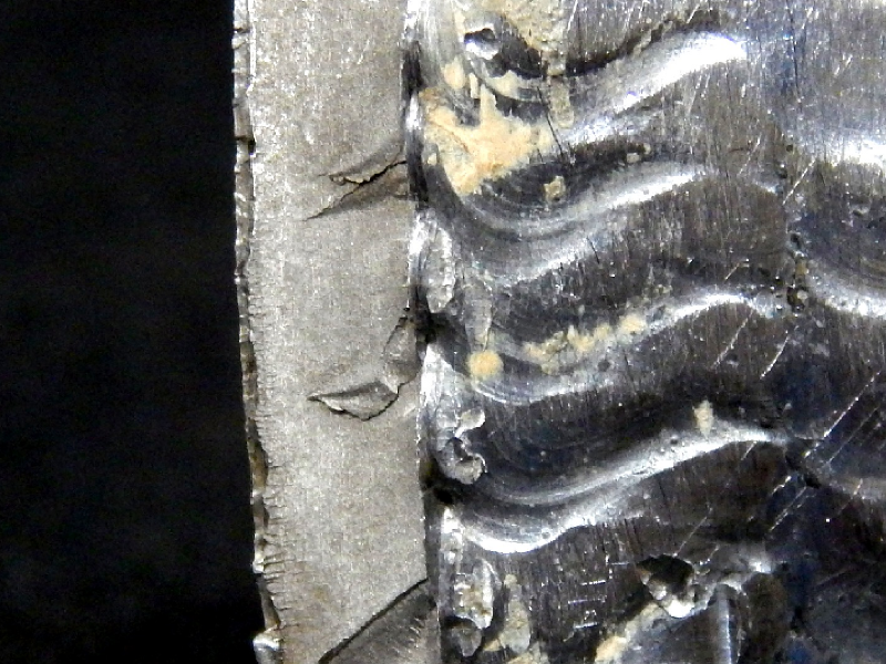After cutting the pipe and opening the crack, the fracture appearance shows a clean fracture, flat, starting from the margem of the weld of the pipe (right side of the figure), and propagating through wall into the pipe (aproximately 5 mm thickness). The external side of the pipe is to the right side of the figure (presenting the weld finishing) and the internal side of the pipe is to the left side of the figure.