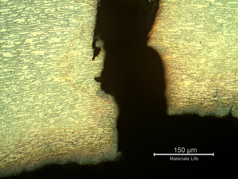 Micrographic detail of the final crack propagation through wall, with plastic deformation.