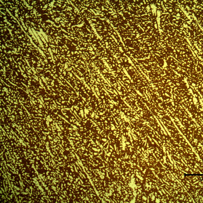 Micrography of a transverse section of the fititng, presenting a coarser structure. The ferrite is blue/red and the austenite is white/yellow.