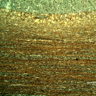 Micrography of the heat affected zone of the pipe to the fitting, at the pipe position, where the weld is in angle to the pipe (welded at the pipe surface).  Weld metal to the top.