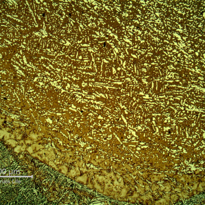Micrography of the heat affected zone of the pipe to the fitting, at the fitting position. The fitting is welded in the thickness.  The fusion line is in the bottom of the figure.