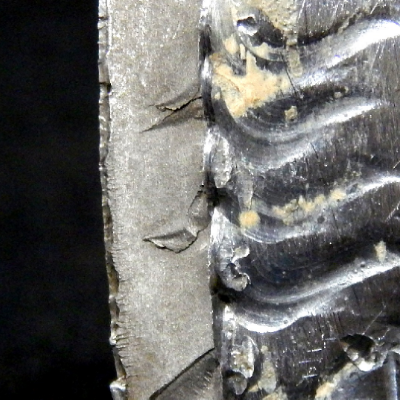 After cutting the pipe and opening the crack, the fracture appearance shows a clean fracture, flat, starting from the margem of the weld of the pipe (right side of the figure), and propagating through wall into the pipe (aproximately 5 mm thickness). The external side of the pipe is to the right side of the figure (presenting the weld finishing) and the internal side of the pipe is to the left side of the figure.