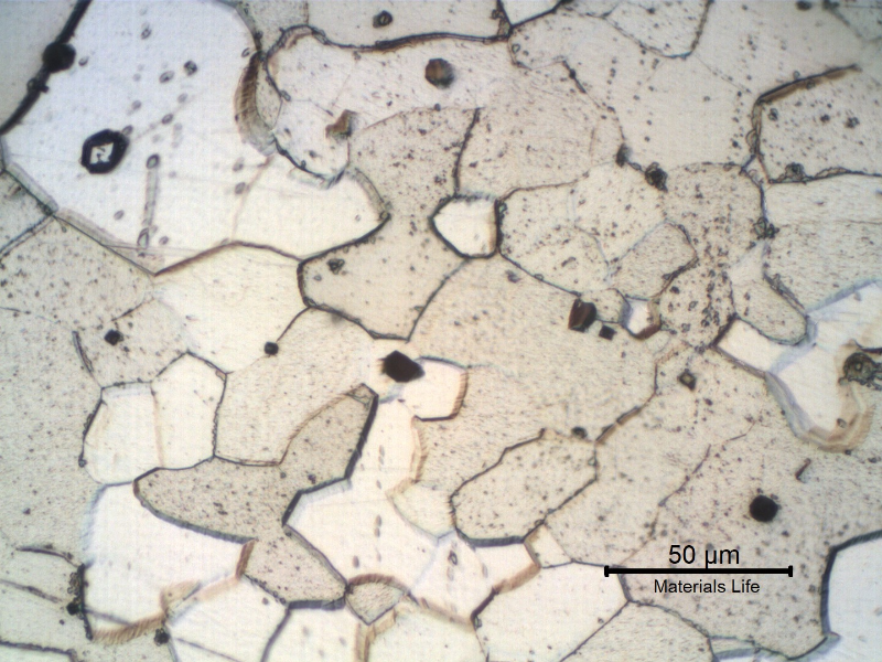 Micrographic detail of the fork longitudinal section, in the center of the thickness, at the scoop position, showing ferritic grains equiaxial and uniform.