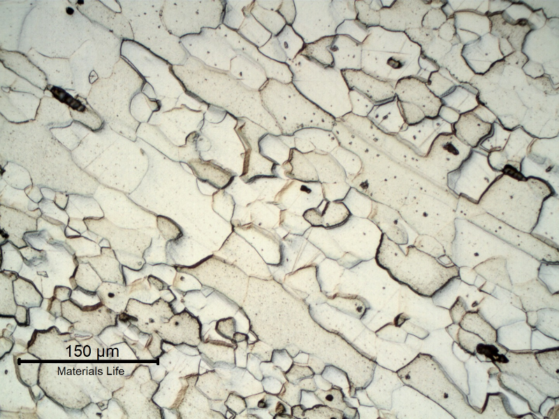 Micrography of the fork handle in the center of the transverse section, curved, presenting larger ferritic grains with elongated morphology.