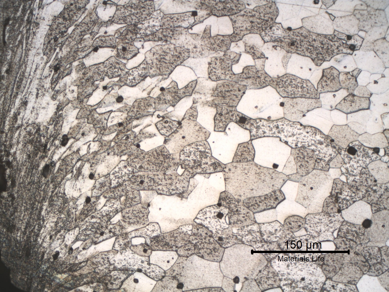 Micrography of the longitudinal section from the fork tooth in the scoop. The microstructure is the same as in the scoop close to the handle, ferritic grains equiaxial and uniform, but at the cut surface the structure presents strong plastic deformation generated by a mechanical cutting.