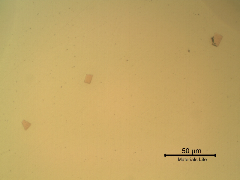 Detail of the non metallic inclusions in the steel. The yellow and black colours and morphologies suggest Ti base and oxides.