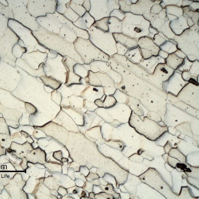 Micrography of the fork handle in the center of the transverse section, curved, presenting larger ferritic grains with elongated morphology.